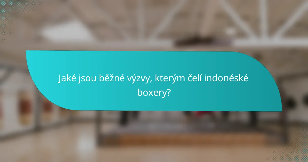 Jaké jsou běžné výzvy, kterým čelí indonéské boxery?