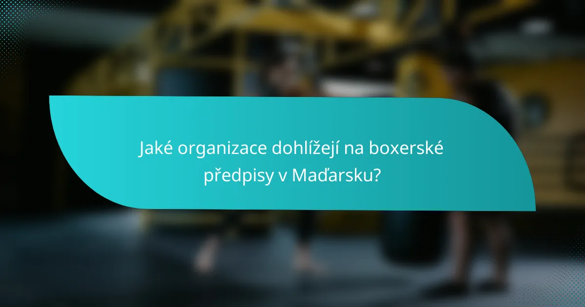 Jaké organizace dohlížejí na boxerské předpisy v Maďarsku?