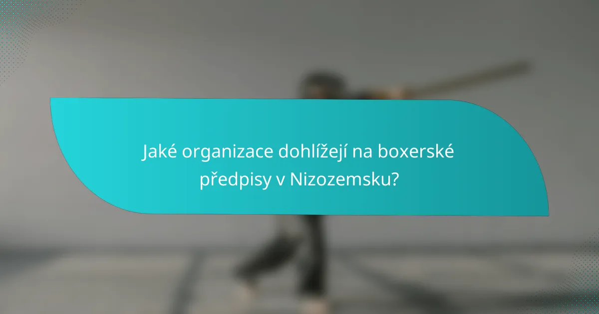 Jaké organizace dohlížejí na boxerské předpisy v Nizozemsku?