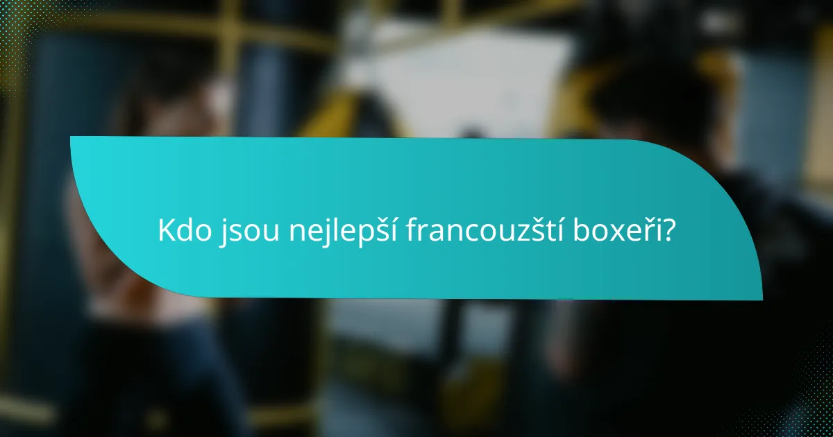 Kdo jsou nejlepší francouzští boxeři?