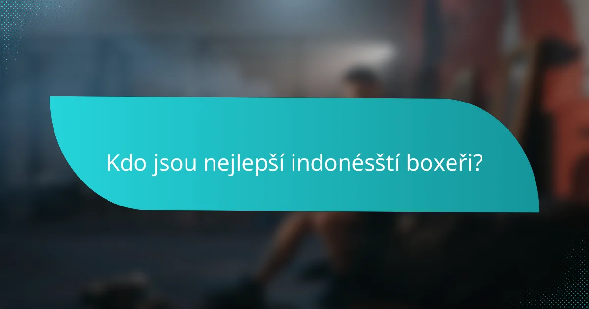 Kdo jsou nejlepší indonésští boxeři?